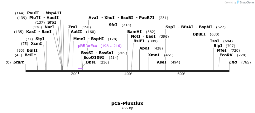 70012_map
