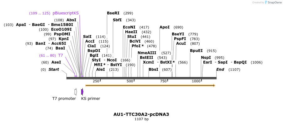 70013_map