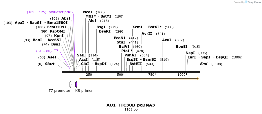 70015_map