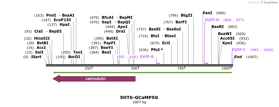 70021_map