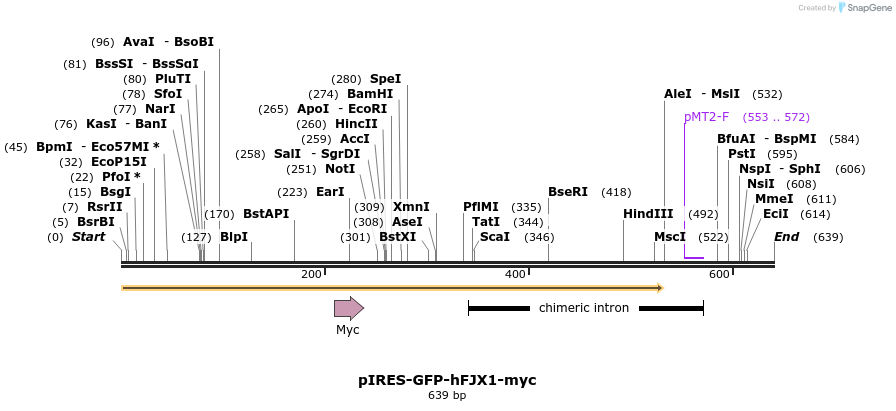 70022_map