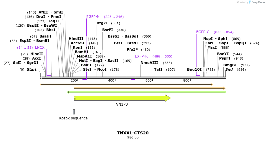 70023_map