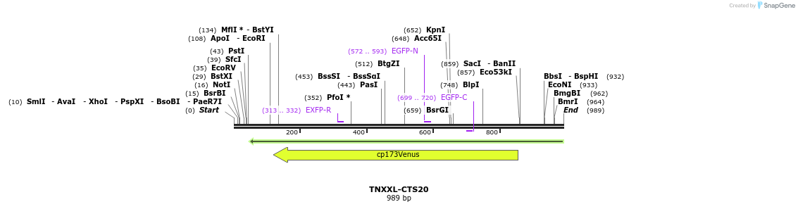 70024_map