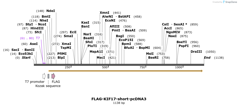 70025_map