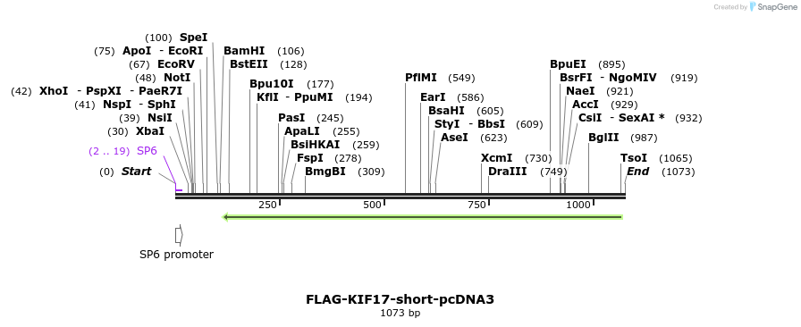 70026_map