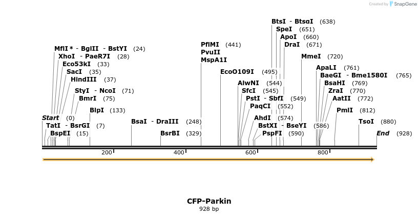 70027_map
