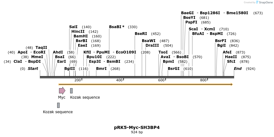 70028_map