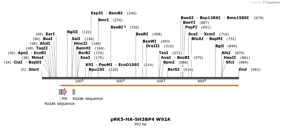 70031_map