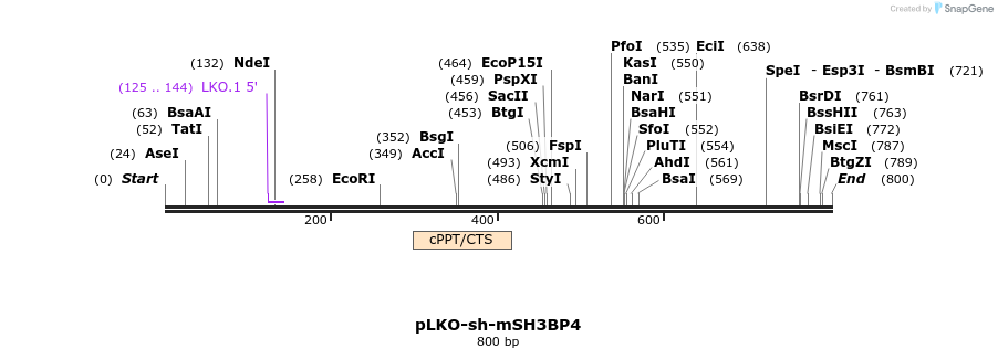 70033_map