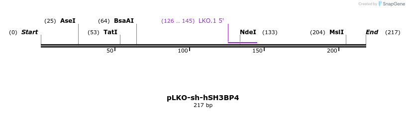 70034_map