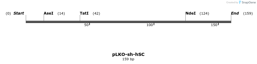 70035_map