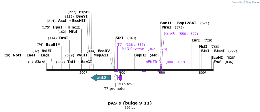 70037_map