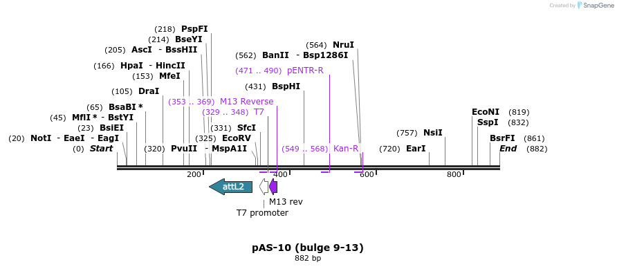 70038_map