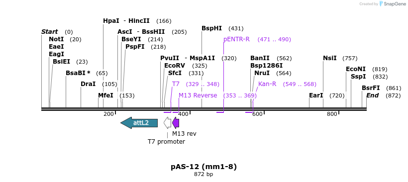 70040_map