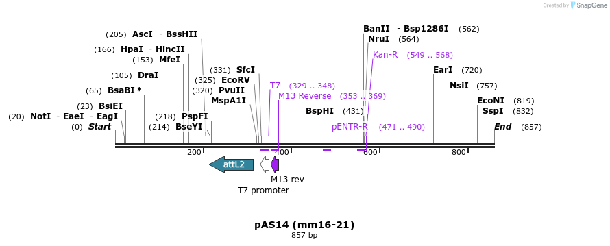 70043_map