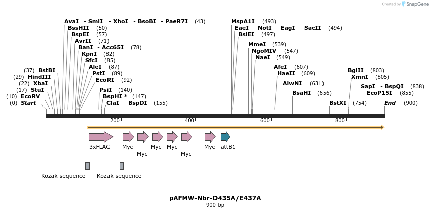70048_map