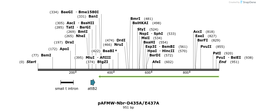 70054_map
