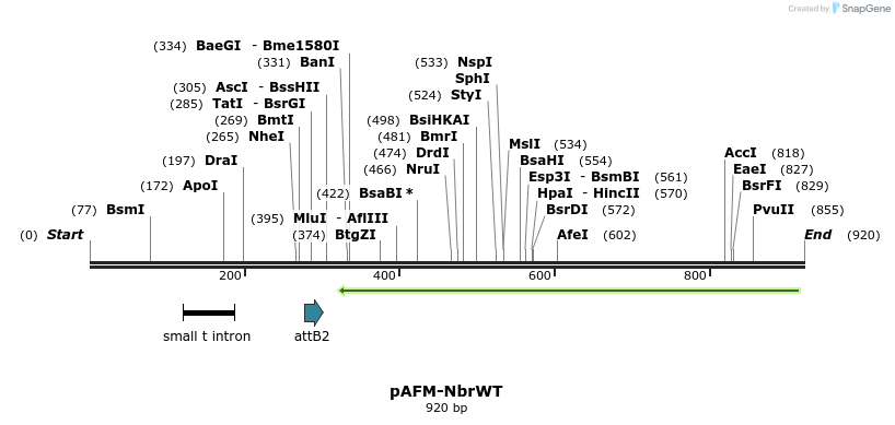 70055_map