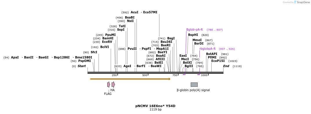 70058_map