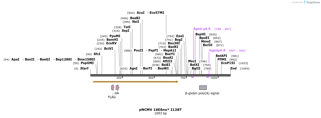 70060_map