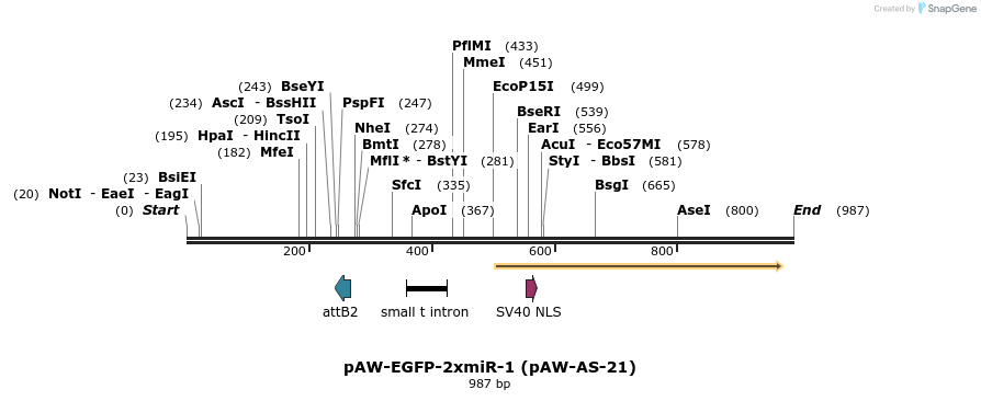 70062_map