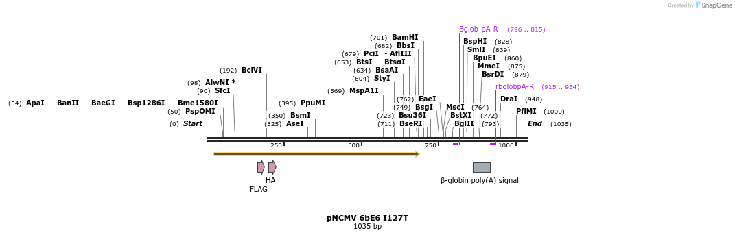 70066_map