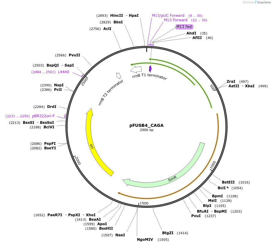 70140_map