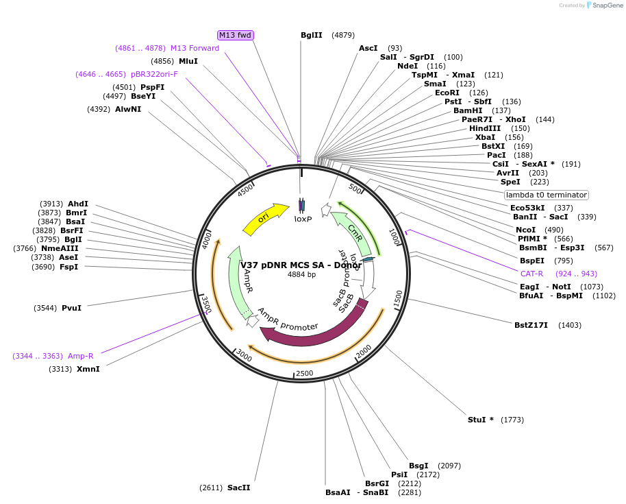 7022_map