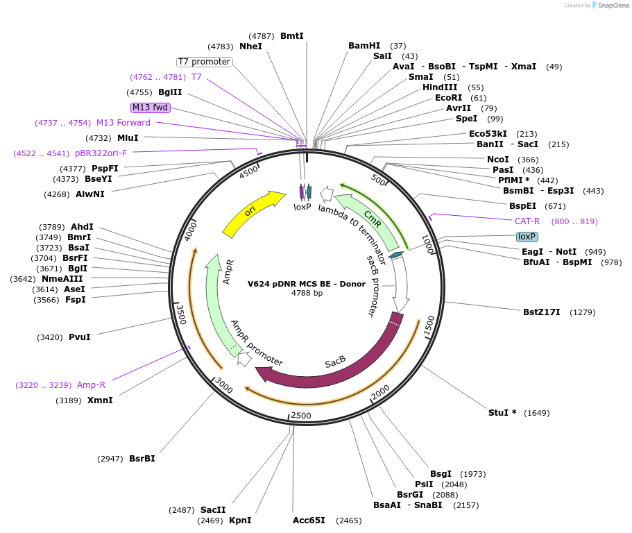 7025_map