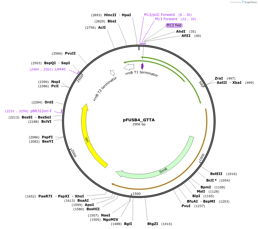 70256_map