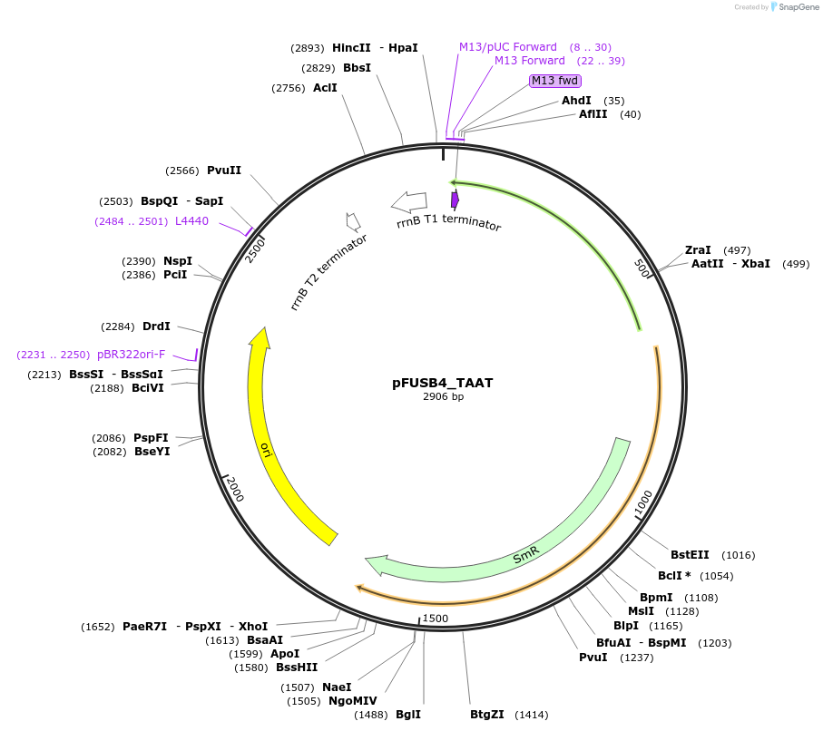 70263_map