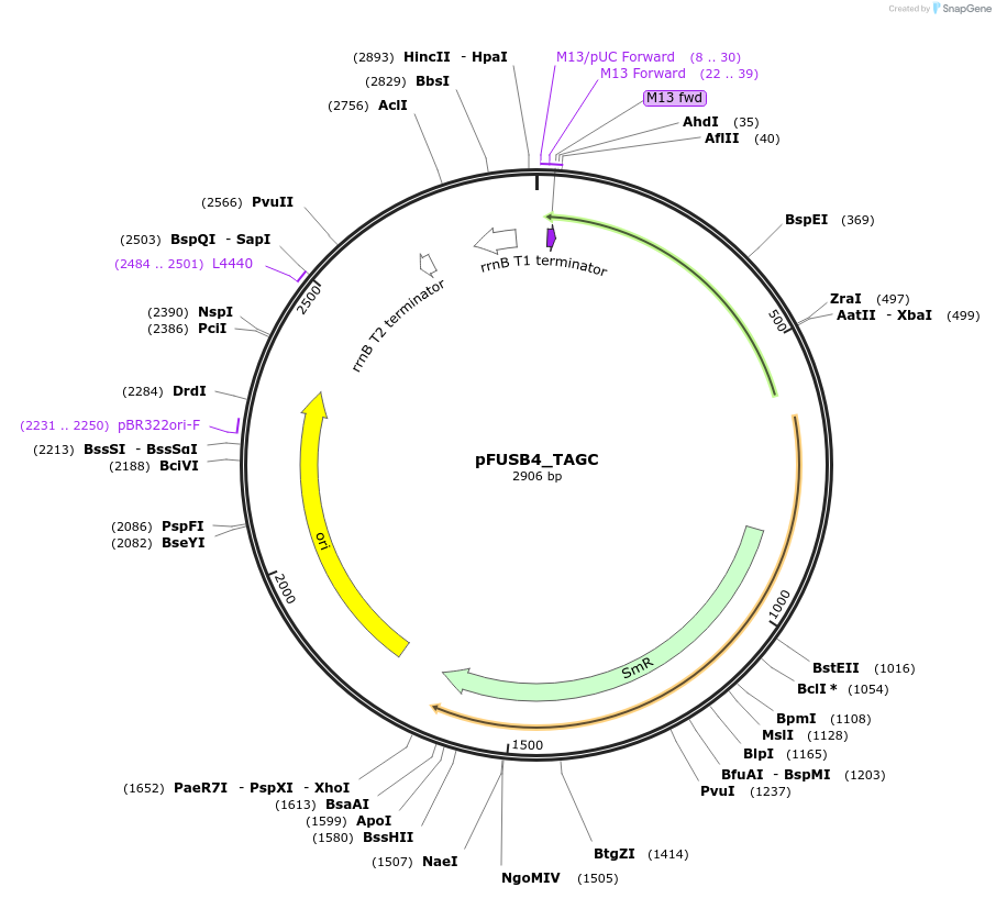 70269_map