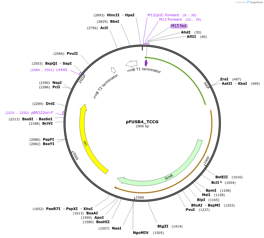 70282_map