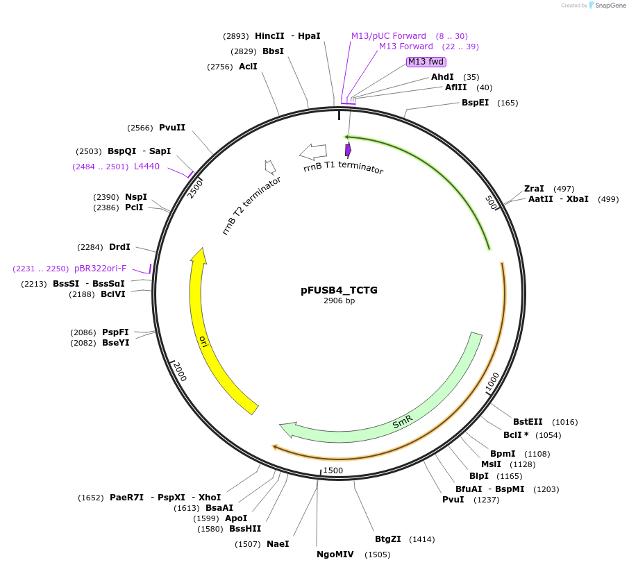 70290_map