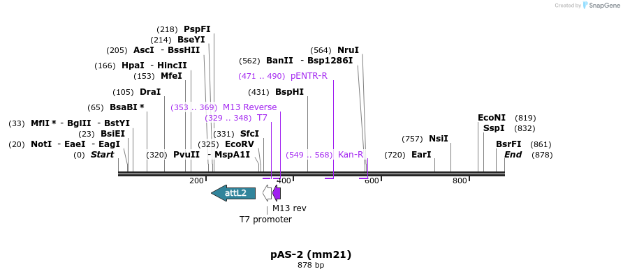 70325_map