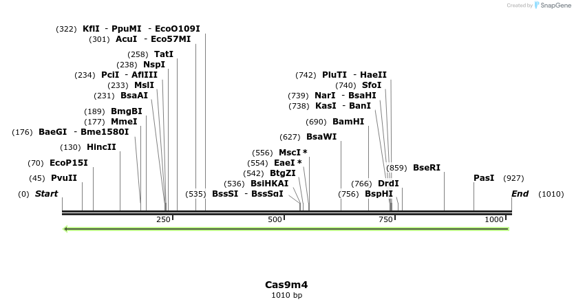 70334_map