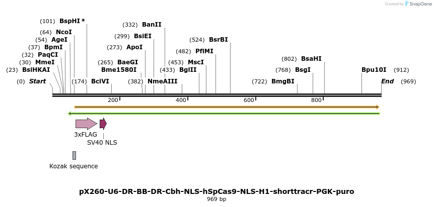 70335_map