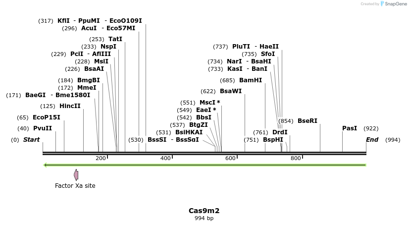 70337_map