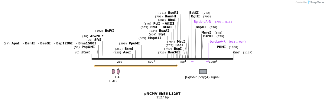 70338_map