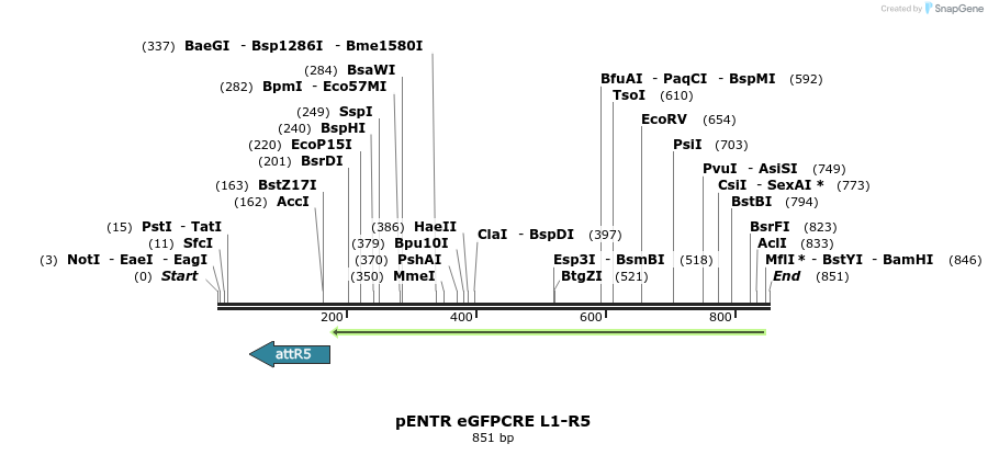 70342_map
