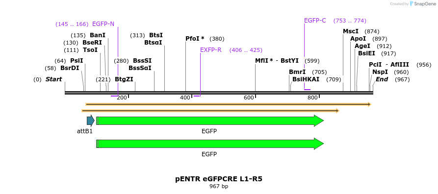 70343_map