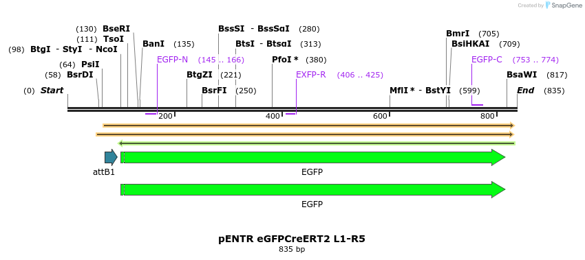 70346_map