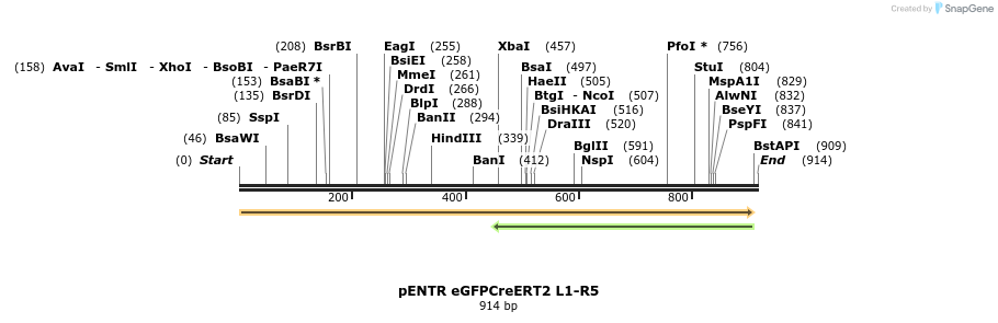 70347_map