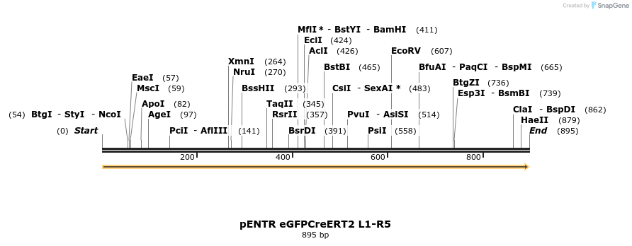 70348_map