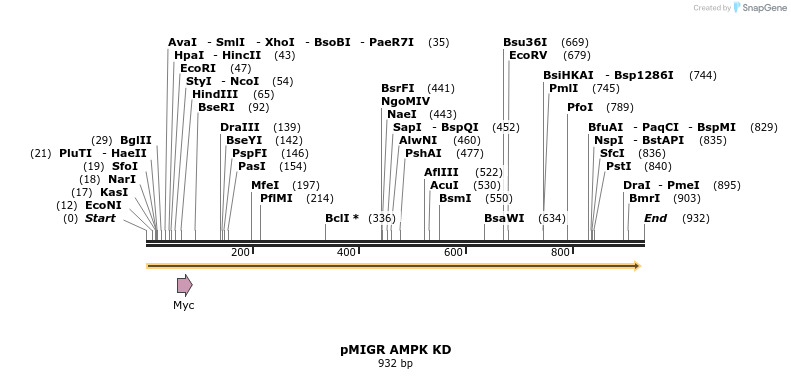 70349_map
