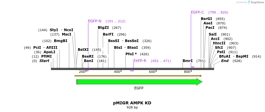 70350_map