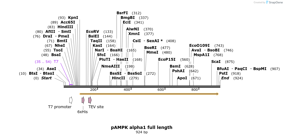 70351_map