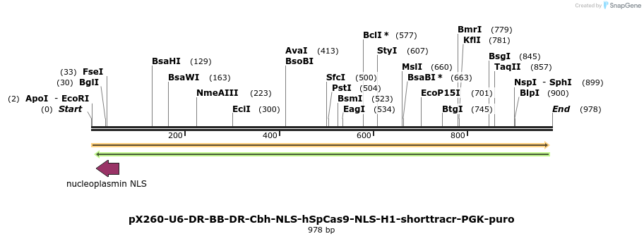 70355_map