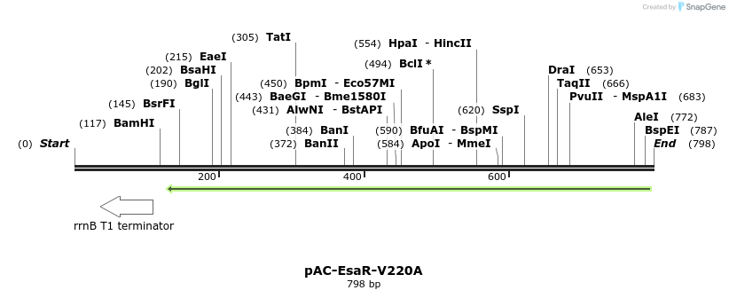 70358_map
