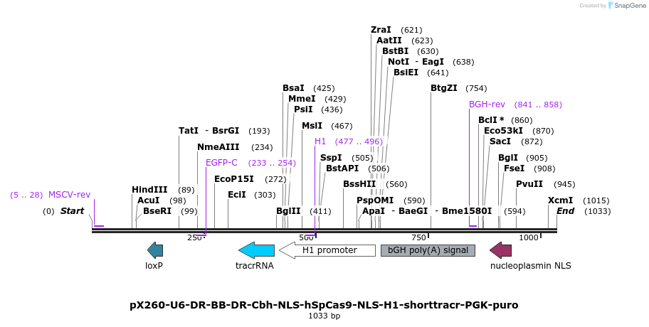 70360_map